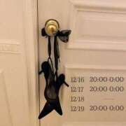 ヒメ日記 2024/12/15 16:09 投稿 とあ 石川小松ちゃんこ