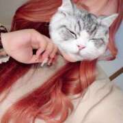 ヒメ日記 2024/12/18 01:51 投稿 とあ 石川小松ちゃんこ