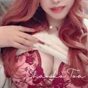 ヒメ日記 2024/12/21 15:09 投稿 とあ 石川小松ちゃんこ