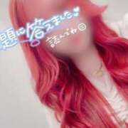 ヒメ日記 2025/01/21 21:59 投稿 とあ 石川小松ちゃんこ