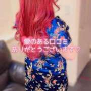 ヒメ日記 2025/01/22 13:19 投稿 とあ 石川小松ちゃんこ