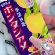 ヒメ日記 2025/01/25 15:19 投稿 とあ 石川小松ちゃんこ