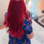 ヒメ日記 2025/02/07 14:19 投稿 とあ 石川小松ちゃんこ