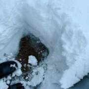 ヒメ日記 2025/02/09 13:09 投稿 とあ 石川小松ちゃんこ