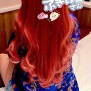 ヒメ日記 2025/02/22 17:13 投稿 とあ 石川小松ちゃんこ