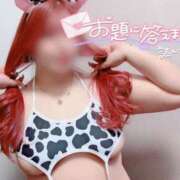 ヒメ日記 2025/03/03 17:09 投稿 とあ 石川小松ちゃんこ