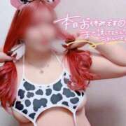 ヒメ日記 2025/03/08 18:19 投稿 とあ 石川小松ちゃんこ