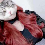 ヒメ日記 2025/03/11 21:09 投稿 とあ 石川小松ちゃんこ