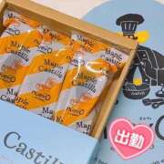 ヒメ日記 2025/03/15 15:19 投稿 とあ 石川小松ちゃんこ