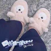 ヒメ日記 2025/03/16 22:49 投稿 とあ 石川小松ちゃんこ