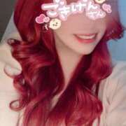 ヒメ日記 2025/03/19 11:59 投稿 とあ 石川小松ちゃんこ