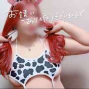 ヒメ日記 2025/03/20 15:49 投稿 とあ 石川小松ちゃんこ