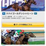 ヒメ日記 2025/03/30 11:09 投稿 とあ 石川小松ちゃんこ