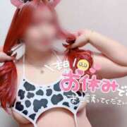 ヒメ日記 2025/04/04 20:09 投稿 とあ 石川小松ちゃんこ