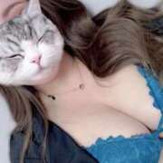 ヒメ日記 2025/04/12 19:49 投稿 とあ 石川小松ちゃんこ