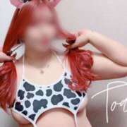 ヒメ日記 2025/04/22 12:19 投稿 とあ 石川小松ちゃんこ