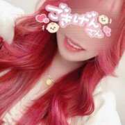 ヒメ日記 2025/04/24 12:49 投稿 とあ 石川小松ちゃんこ