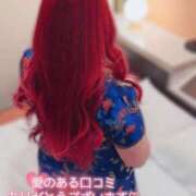 ヒメ日記 2025/04/24 15:19 投稿 とあ 石川小松ちゃんこ