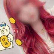 ヒメ日記 2025/04/28 10:19 投稿 とあ 石川小松ちゃんこ