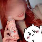 ヒメ日記 2025/04/30 11:19 投稿 とあ 石川小松ちゃんこ