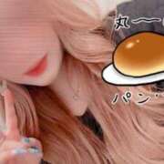 ヒメ日記 2025/04/30 15:19 投稿 とあ 石川小松ちゃんこ