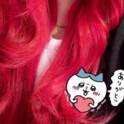 ヒメ日記 2025/05/01 12:39 投稿 とあ 石川小松ちゃんこ