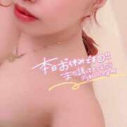 ヒメ日記 2025/05/03 09:19 投稿 とあ 石川小松ちゃんこ