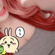 ヒメ日記 2025/05/04 14:19 投稿 とあ 石川小松ちゃんこ