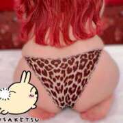 ヒメ日記 2025/05/06 01:42 投稿 とあ 石川小松ちゃんこ