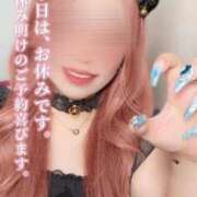 ヒメ日記 2025/06/24 10:09 投稿 とあ 石川小松ちゃんこ