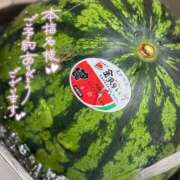 ヒメ日記 2025/06/27 15:19 投稿 とあ 石川小松ちゃんこ