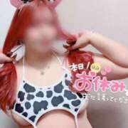 ヒメ日記 2025/07/05 15:49 投稿 とあ 石川小松ちゃんこ