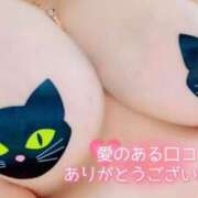 ヒメ日記 2025/08/01 18:49 投稿 とあ 石川小松ちゃんこ