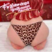 ヒメ日記 2025/08/29 10:39 投稿 とあ 石川小松ちゃんこ