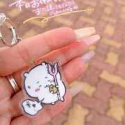 ヒメ日記 2025/09/07 10:19 投稿 とあ 石川小松ちゃんこ