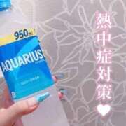 ヒメ日記 2025/09/16 09:14 投稿 とあ 石川小松ちゃんこ