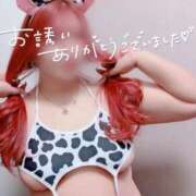 ヒメ日記 2025/10/11 01:19 投稿 とあ 石川小松ちゃんこ