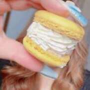 ヒメ日記 2025/10/12 09:10 投稿 とあ 石川小松ちゃんこ