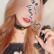 ヒメ日記 2025/10/20 15:09 投稿 とあ 石川小松ちゃんこ