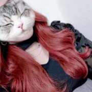 ヒメ日記 2025/10/29 18:19 投稿 とあ 石川小松ちゃんこ