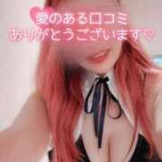 ヒメ日記 2025/11/09 16:09 投稿 とあ 石川小松ちゃんこ