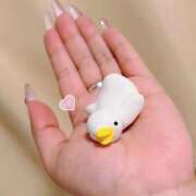 ヒメ日記 2025/11/09 22:19 投稿 とあ 石川小松ちゃんこ