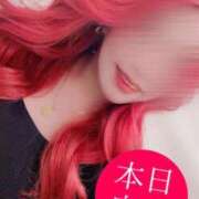 ヒメ日記 2025/11/14 19:49 投稿 とあ 石川小松ちゃんこ