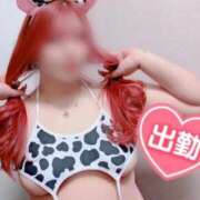 ヒメ日記 2025/11/30 09:20 投稿 とあ 石川小松ちゃんこ