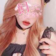 ヒメ日記 2025/12/10 12:17 投稿 とあ 石川小松ちゃんこ