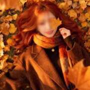 ヒメ日記 2025/12/12 12:21 投稿 とあ 石川小松ちゃんこ