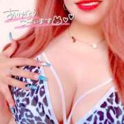 ヒメ日記 2025/12/29 16:39 投稿 とあ 石川小松ちゃんこ