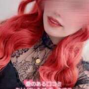 ヒメ日記 2026/02/05 11:39 投稿 とあ 石川小松ちゃんこ