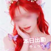 ヒメ日記 2026/02/25 10:19 投稿 とあ 石川小松ちゃんこ