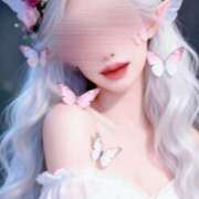 ヒメ日記 2026/03/12 09:02 投稿 とあ 石川小松ちゃんこ